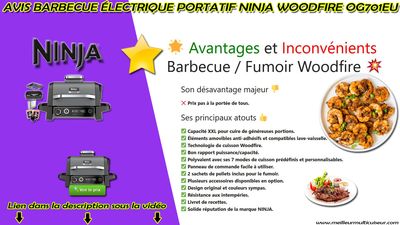 Ninja Woodfire OG701EU Barbecue