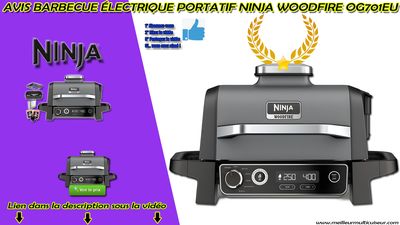 Meilleur Barbecue NINJA Woodfire OG701EU.jpg