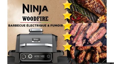 NINJA Woodfire OG701EU Barbecue Electrique-Fumoir