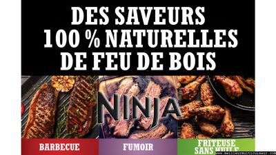 NINJA Woodfire OG701EU Modes de Cuisson