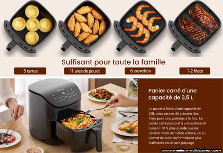 Avis sur l'air fryer T20 de Proscenic