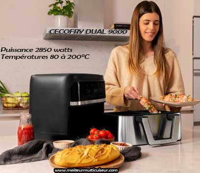 Cecofry Dual 9000 Cecotec ou Cecofry Advance Double, lequel choisir ? -  Meilleur Multicuiseur