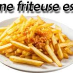 Avis du guide d'achat sur la friteuse sans huile epagnole UFESA Falcon inox 6,5 litres