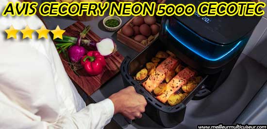 Avis sur les avantages et inconvénients de la friteuse sans huile Cecotec Cecofry Neon 5000 référence 04983