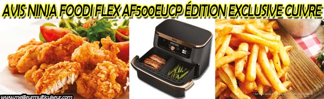 Avis sur les avantages et inconvénients de la friteuse à air Ninja Foodi Flex