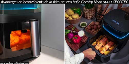 Avantages et inconvénients de l'airfryer Cecotec modèle Neon 5000 dans la gamme Cecofry