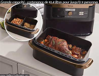 Grande capacité du panier de l'airfryer Ninja édition cuivre Flex gamme Foodi