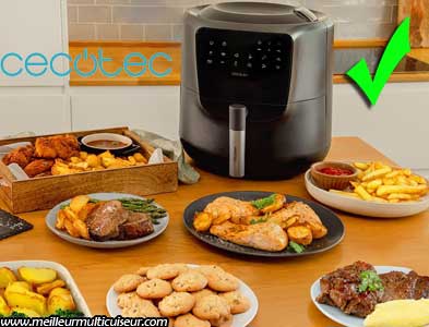 Modes de cuisson sur l'air fryer Rain référence : 03305