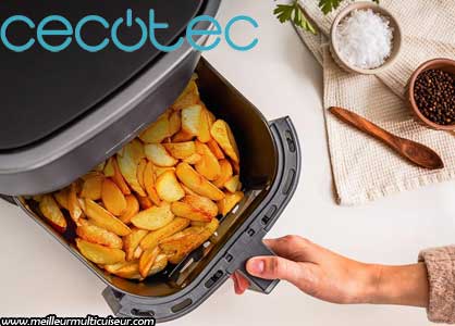 Panier de cuisson de la friteuse à air Fantastik 4000 Window du fabricant CECOTEC