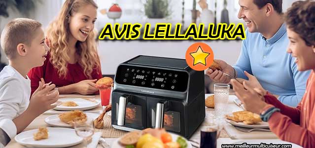 Avis, avantages & inconvénients de LELLALUKA, friteuse sans huile double compartiment