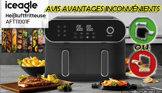 ICEAGLE Dual Zone 11L : avis sur ses avantages et inconvénients