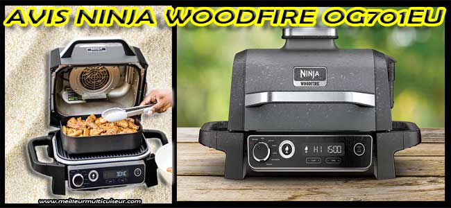Avantages et inconvénients du barbecue portatif OG701EU Woodfire de la marque Ninja
