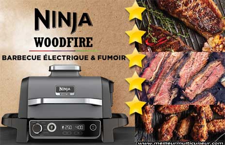 Avantages et inconvénients du BBQ Woodfire XXL Ninja