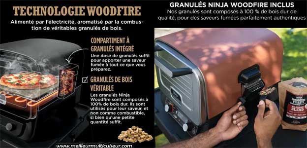 Système de cuisson Ninja Woodfire