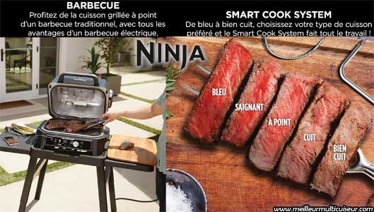 Technologie de cuisson Smart Cook du BBQ Woodfire Connect de Ninja